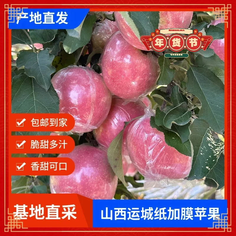 【3斤纸加膜】山西运城红富士苹果脆甜多汁产地直发