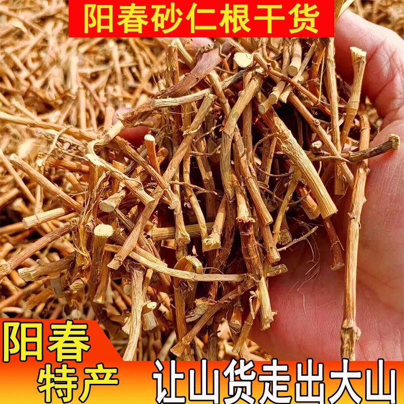 广东阳春正宗春砂根干货土特产农家自种自晒煲鸡汤泡水30g-2斤