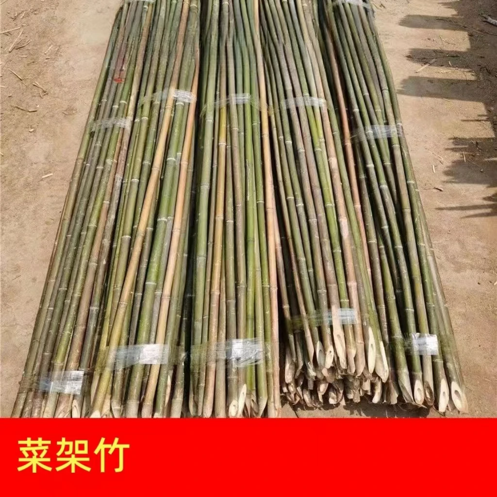 竹竿菜园搭架豆角黄瓜番茄竹子杆篱笆围栏旗杆爬藤架种菜支架竹子