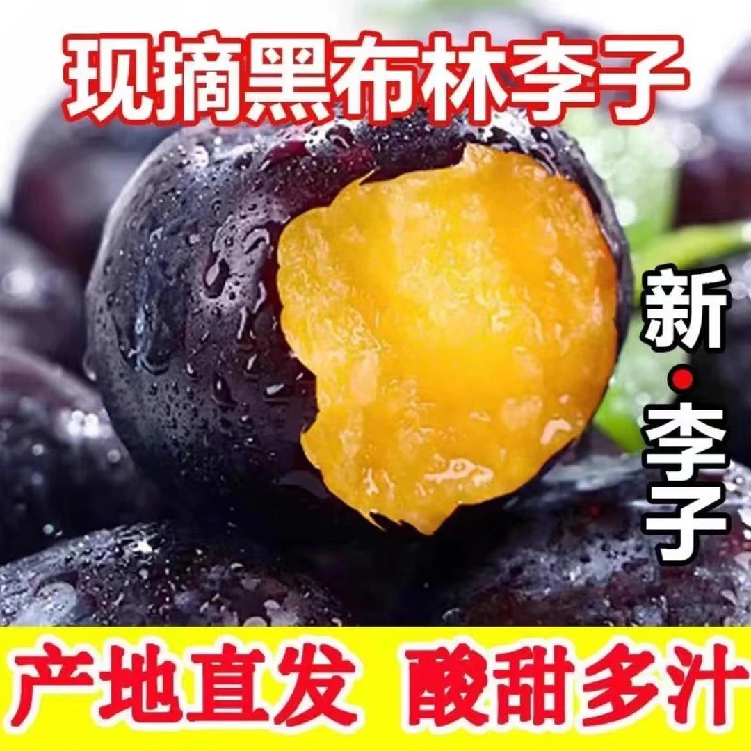 正宗陕西黑布林大李子酸甜口树上熟4.5斤爽口多汁