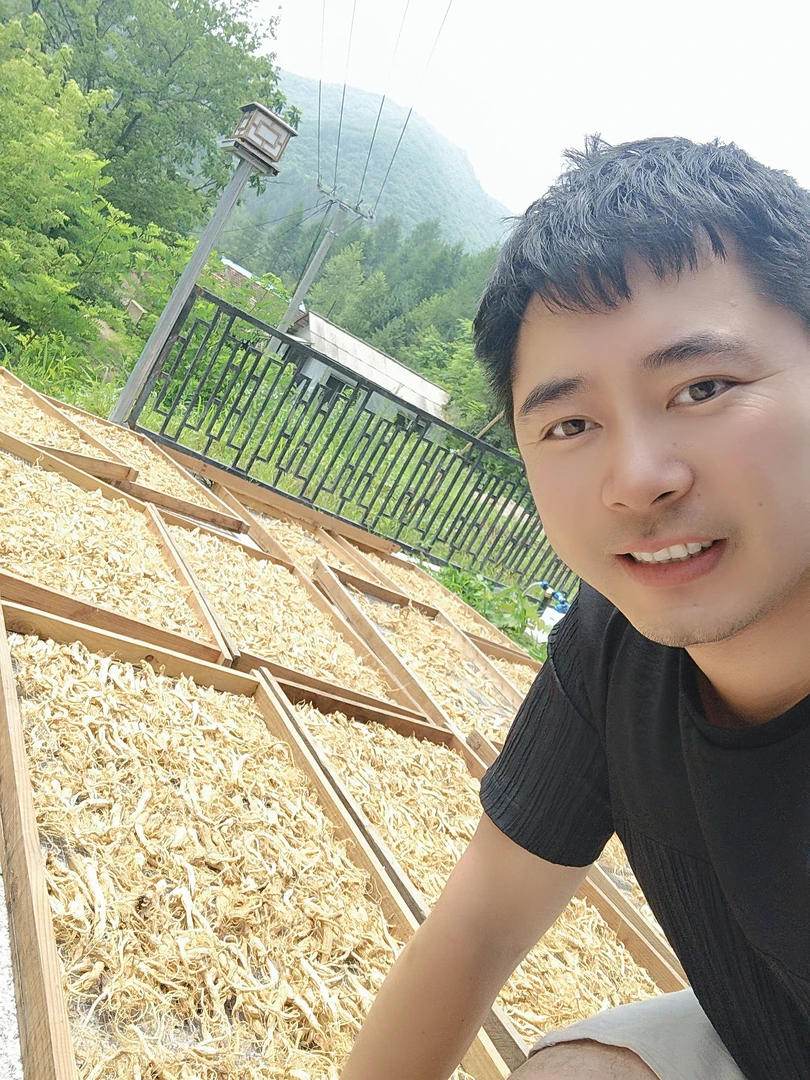长白山林下参一斤籽货