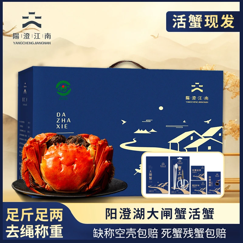 【活蟹】阳澄江南 阳澄湖大闸蟹塘蟹 全母蟹3.0两 8/10只装DLG