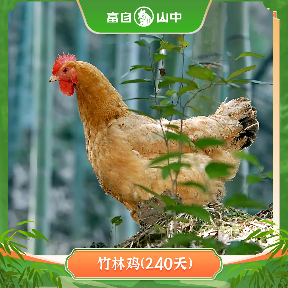 富自山中【安吉优品汇竹林鸡】散养土鸡肉嫩脂黄单只净重2.3斤以上