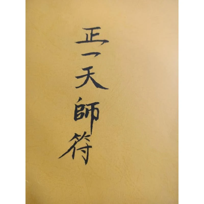 珍藏版 正一天师f 经典推荐好书现货速发
