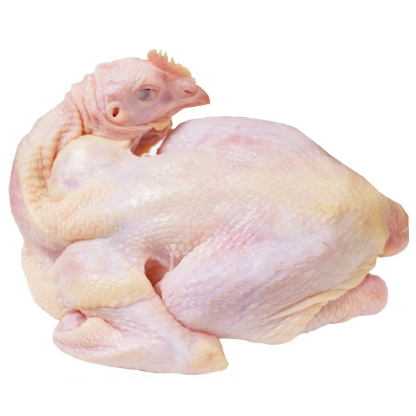 女神好礼3.8节大促无抗 五不生态童子鸡