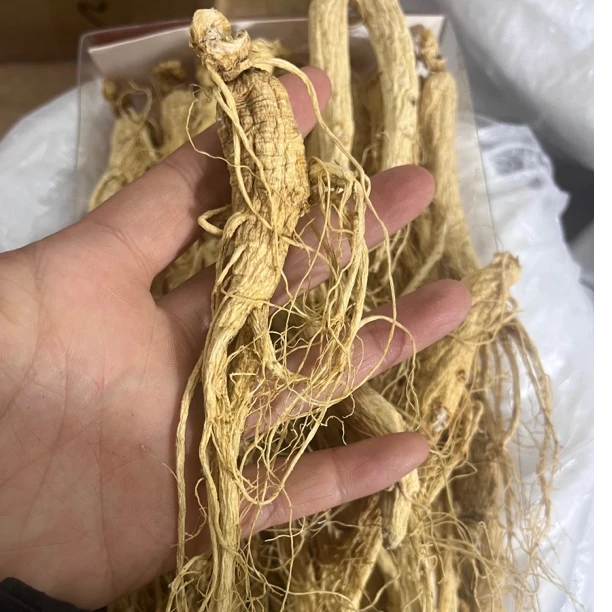 【人参】东北种植人参 无硫生晒货每根10g左右50g包邮另售山药