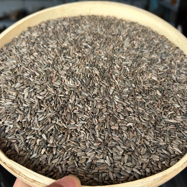 【野牛蒡子】秦岭野生牛蒡籽 大力子 农户野外采集150g包邮另售山药