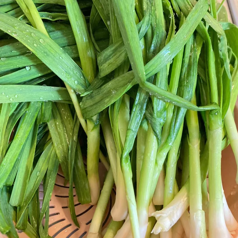 白根蒜苗2斤不洗泡沫箱加冰发货