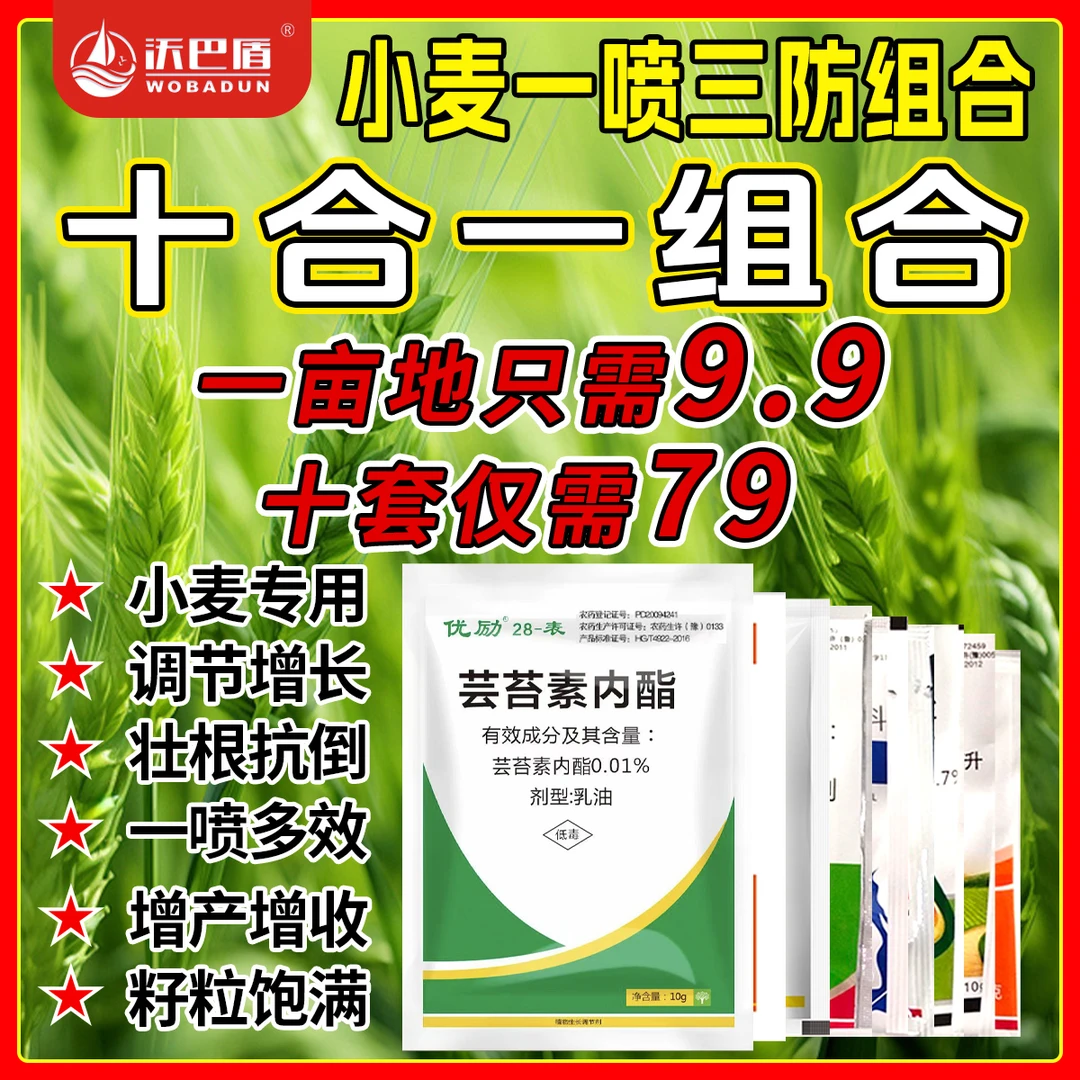慕疆饱满小麦组合一喷三防组合方案稳产增收抗倒伏水剂喷雾