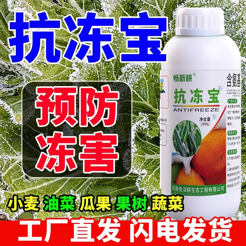 植物抗寒防冻剂果树蔬菜防寒低温防冻液专用