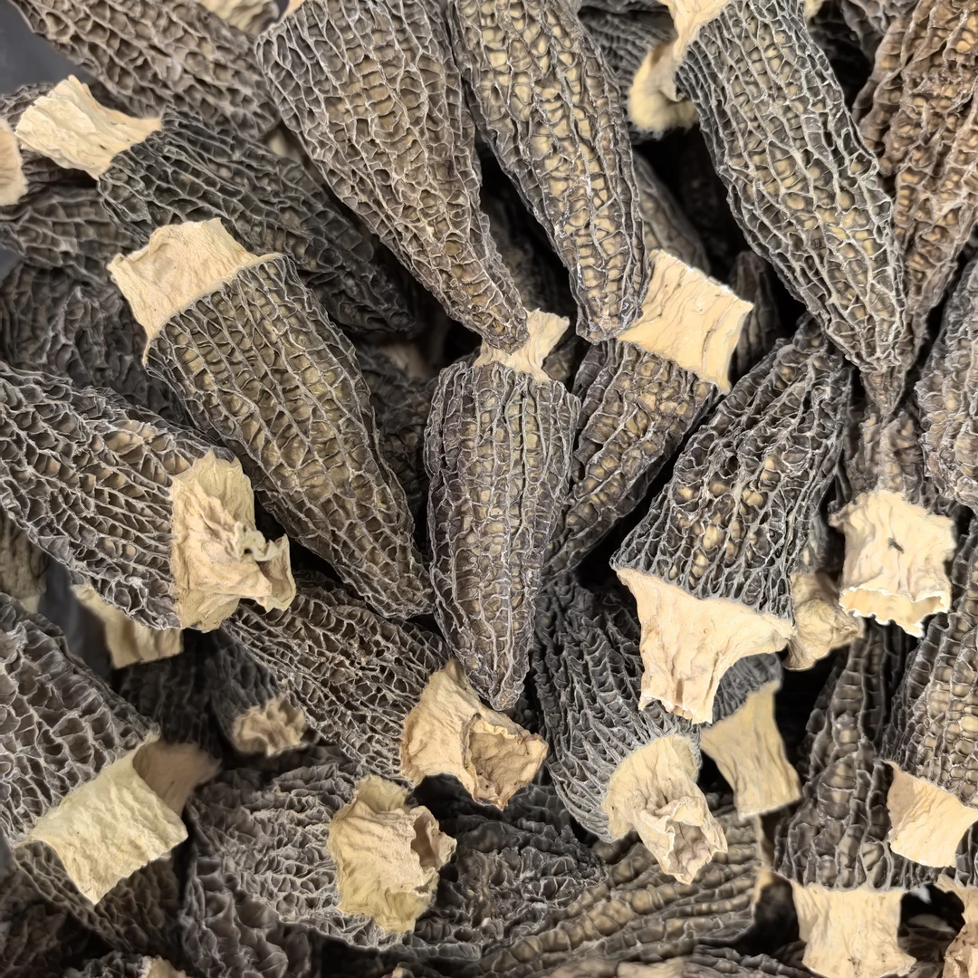 羊肚菌干货煲汤食材营养丰富高性价比云南特产