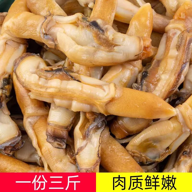 【海川生鲜】蛏子蛏王肉蛏子肉新鲜冷冻小海鲜肉质鲜嫩肥美