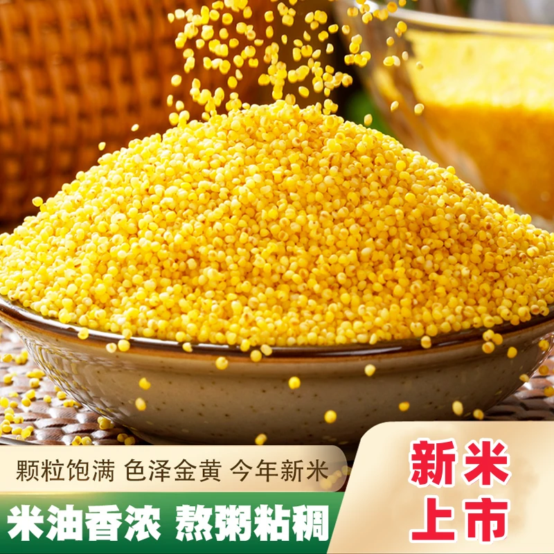 【敖汉现磨新米】内蒙赤峰优质黄小米月子米精选油小米五谷杂粮
