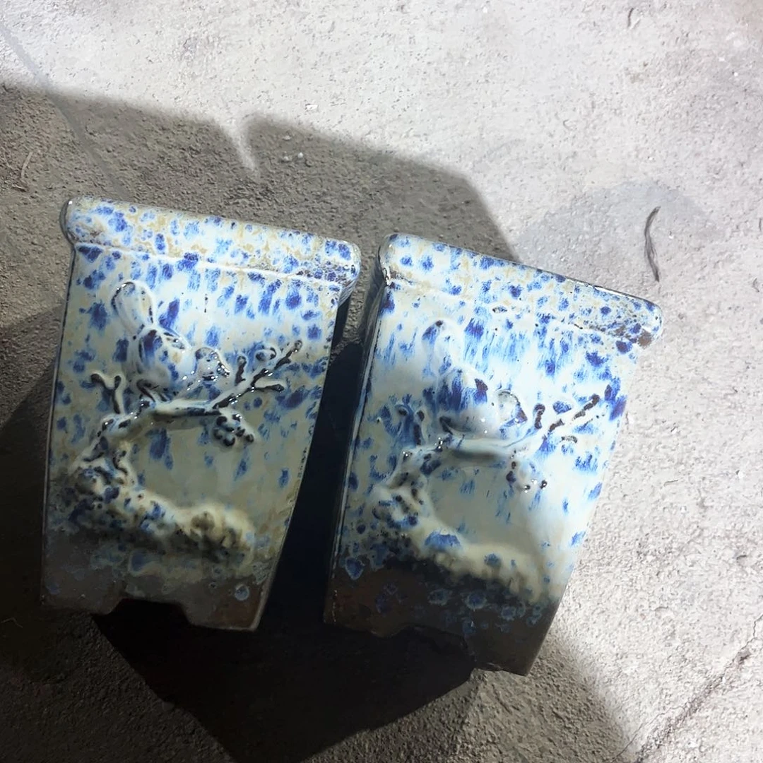 红陶20CM以下花盆花开的