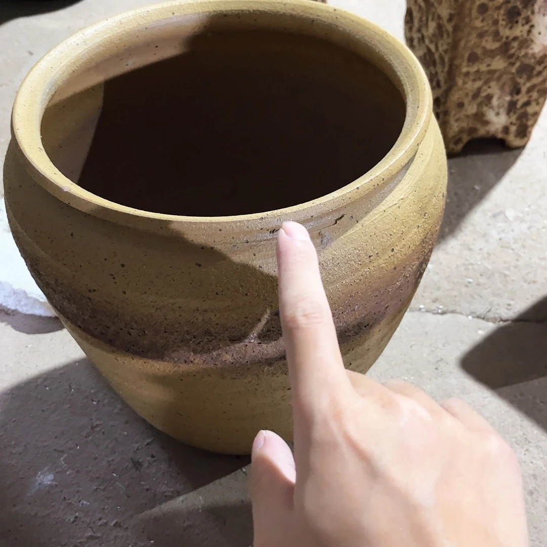 红陶20CM以下花盆花开了