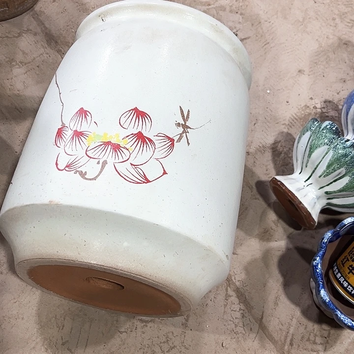 红陶20CM以下花盆花开