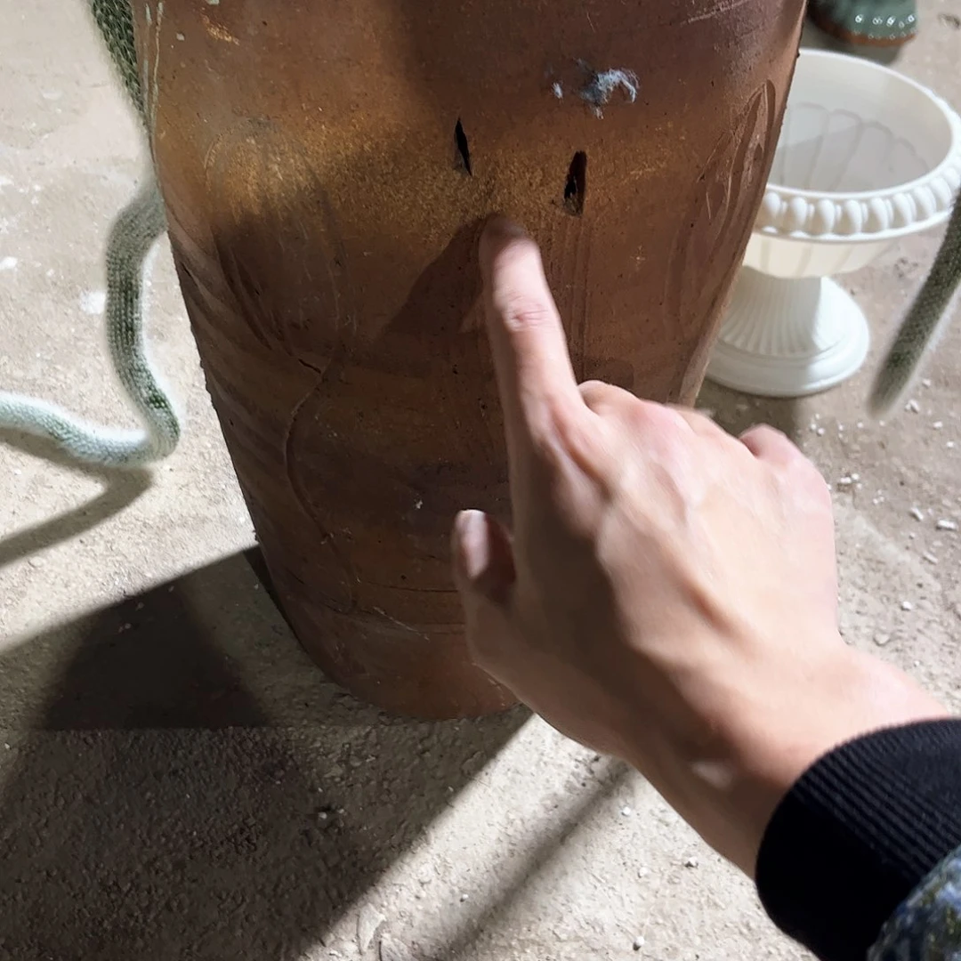 红陶20CM以下花盆花开了