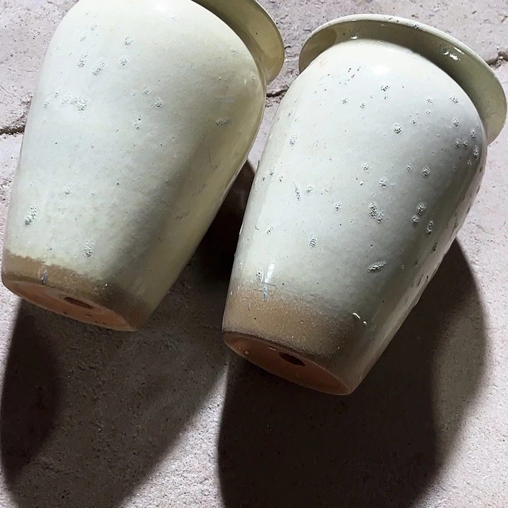 红陶20CM以下花盆花开了