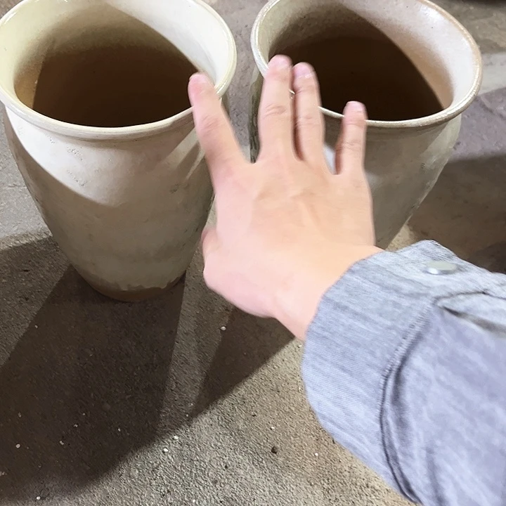 红陶20CM以下花盆花开