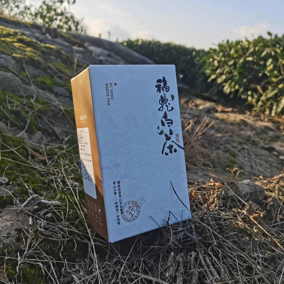 福鼎白茶磻溪南广村2021年荒野牡丹