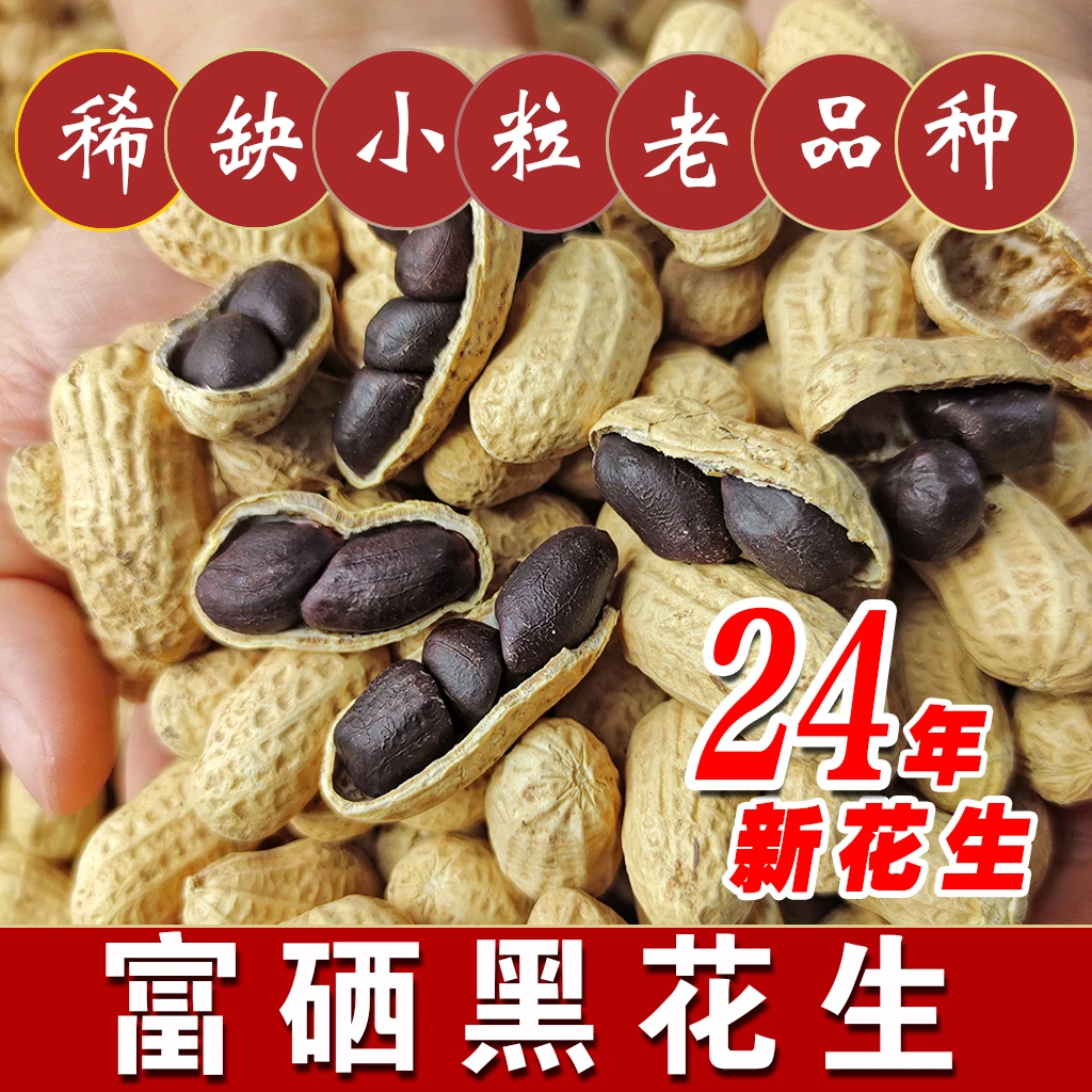 带壳黑花生稀缺山地小粒老品种黑珍珠滋补养胃100克1斤/3斤/5斤