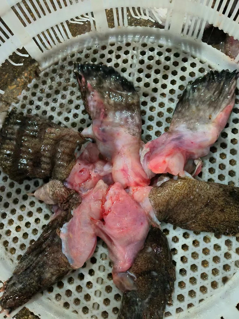 山东日照老王家安康鱼鱼翅 鱼鳍顺丰包邮