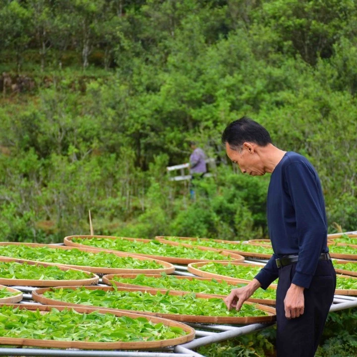 『进店必拍』原产地中坪老枞鸡笼刊二代  珍稀高货 炭焙精制