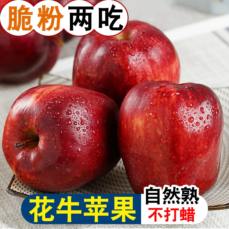 【脆粉两吃】甘肃天水花牛苹果2-9斤红蛇果新鲜当季水果一整箱包邮