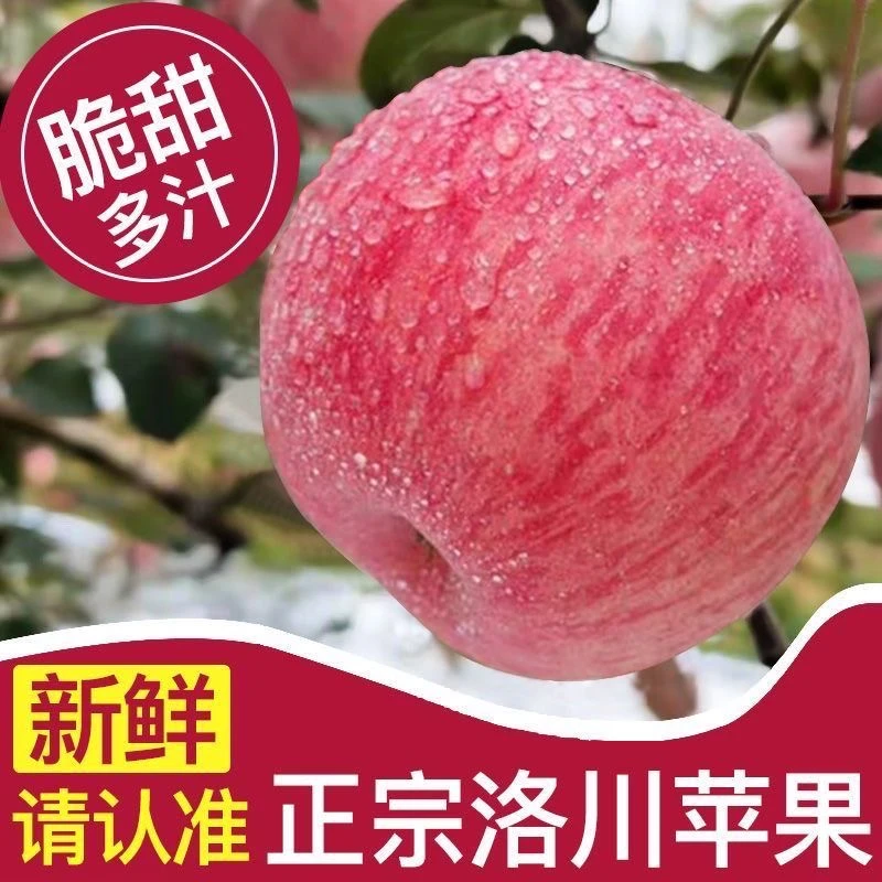正宗陕西洛川红富士苹果3-8.5斤脆甜多汁新鲜水果孕妇水果整箱