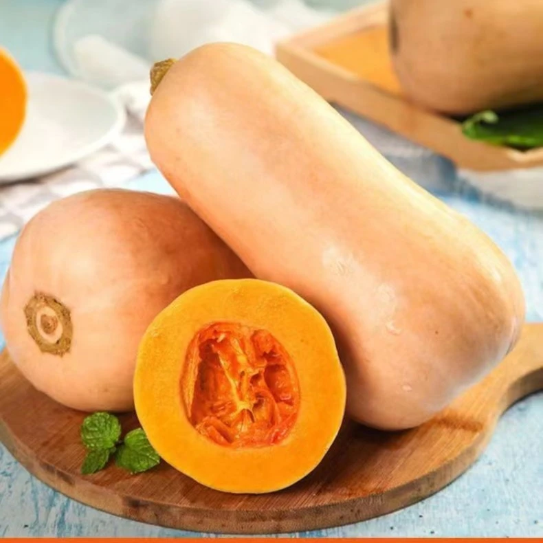 奶油南瓜新鲜2/5/9斤陕西秦岭老南瓜软糯香甜小南瓜宝宝辅食蔬菜