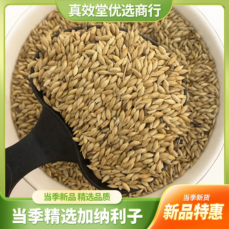 加纳利子鹦鹉鸟粮加纳利籽八哥文鸟零食玄风虎皮牡丹低脂高蛋白