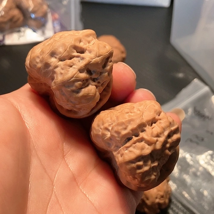 文玩核桃吊坠40蛤蟆