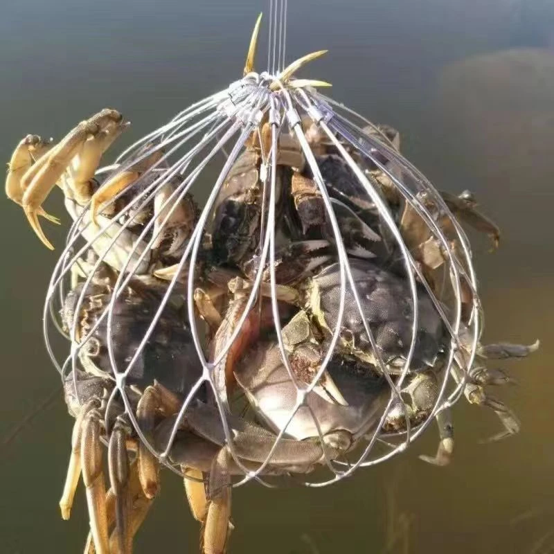 钓蟹类神器专钓笼子
