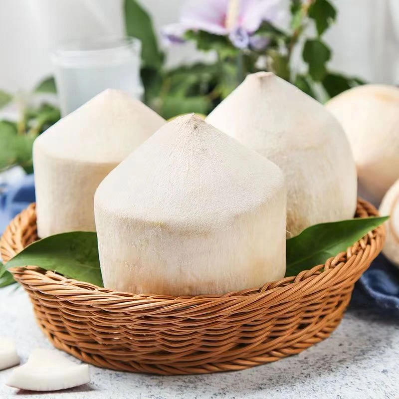 泰国椰青新鲜椰子 1/3个现摘去皮老椰汁孕妇热带水果香水椰子整箱