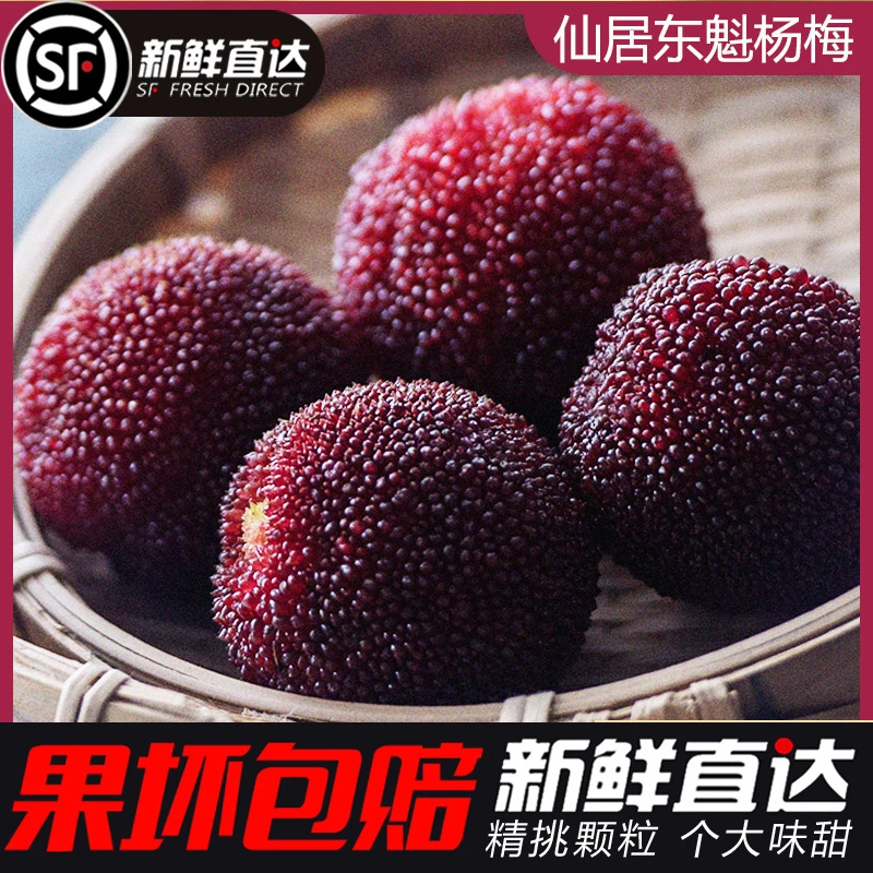 正宗浙江仙居东魁杨梅大棚杨梅新鲜特甜大果现发颗粒装包邮2.6斤