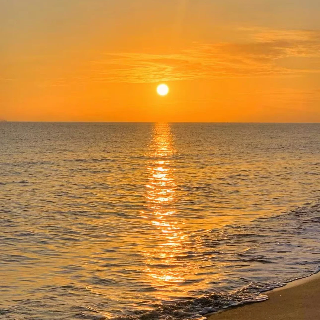 青花瓷00624 凤穿牡丹宋锦绞罗 连衣裙