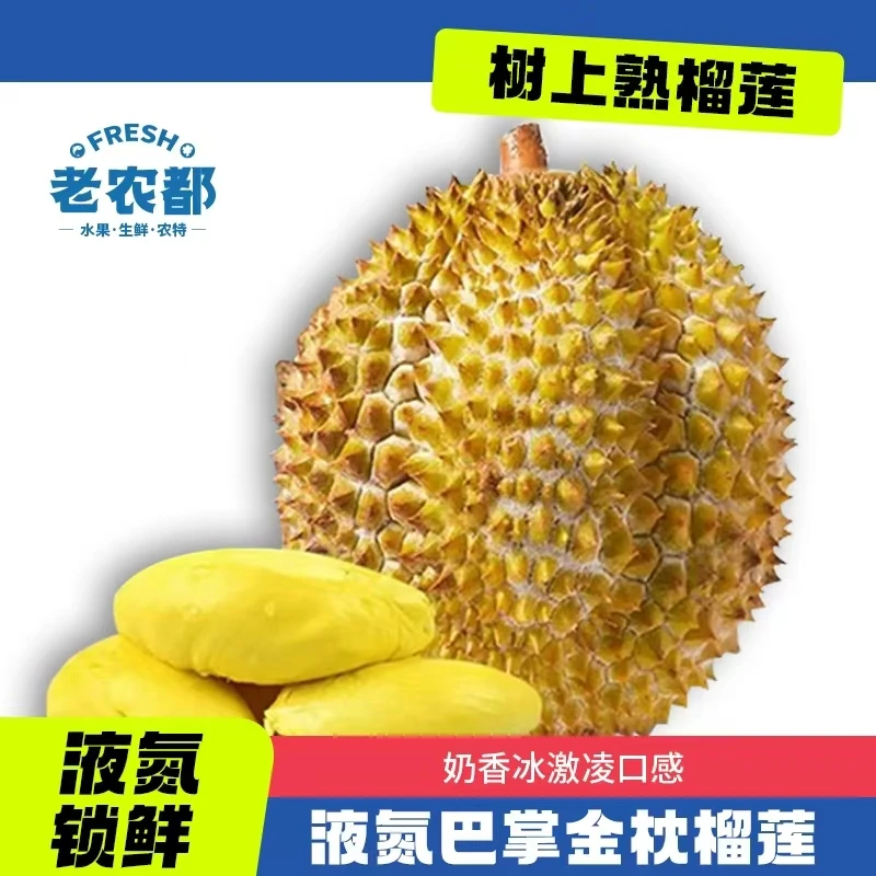 【液氮金枕】泰国液氮巴掌金枕手选高品榴莲