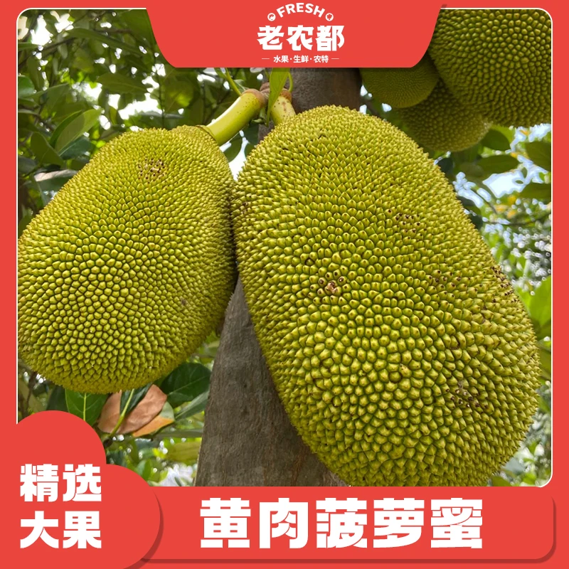【老农都】A级 越南红肉菠萝蜜 (免费取芯)