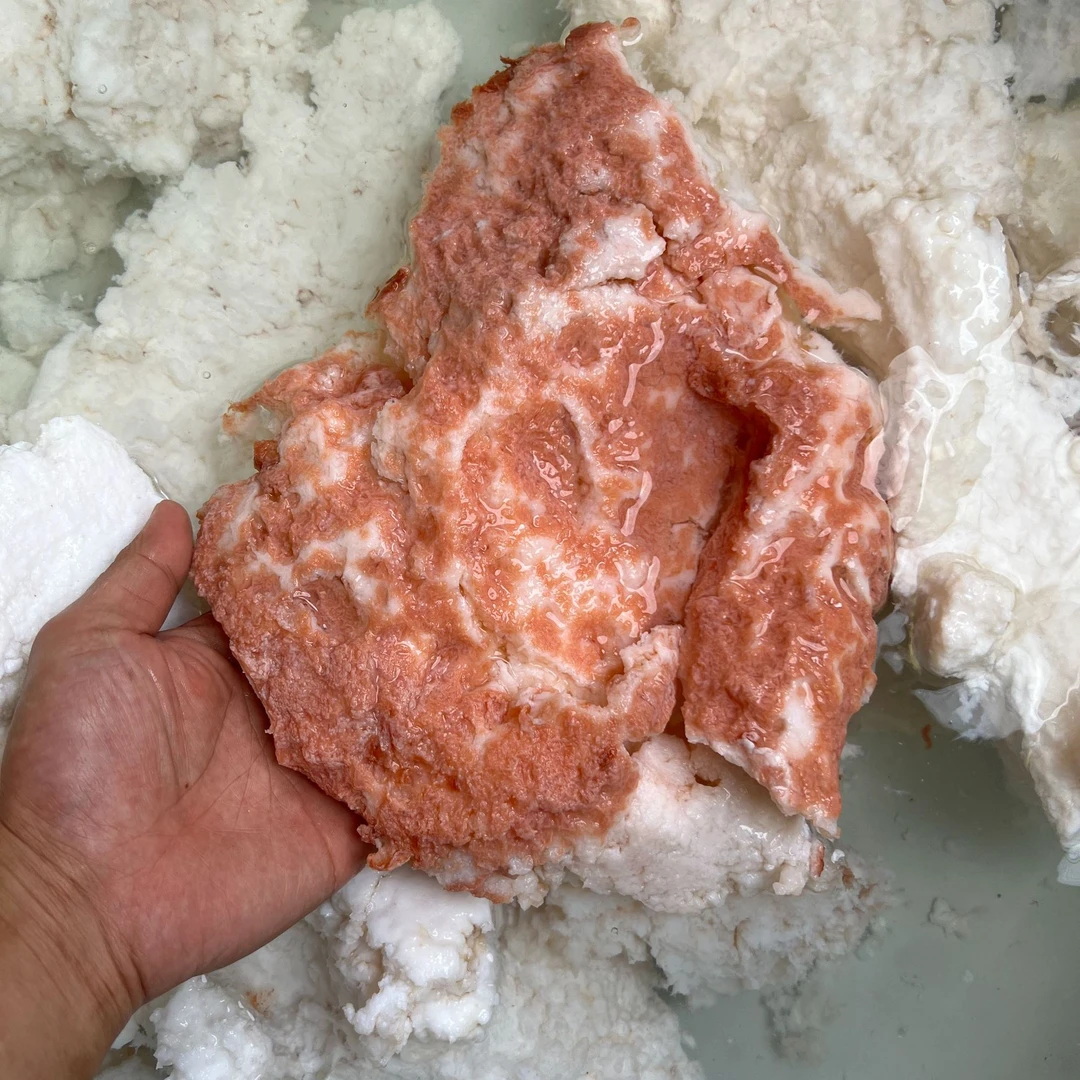 石太岁200克赤色小块摆件