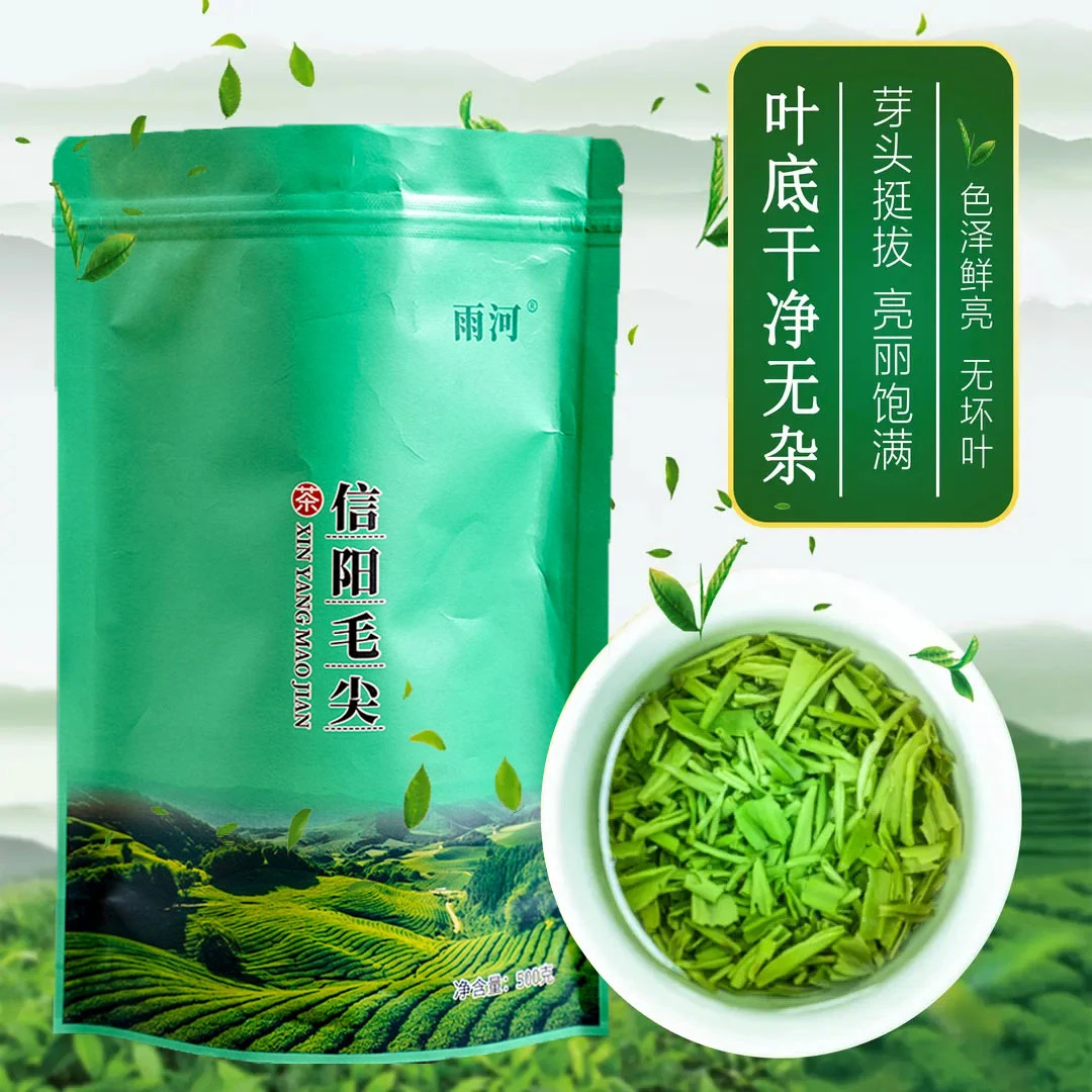 2023信阳明前毛尖高碎新茶明前断芽碎茶浓香口粮茶