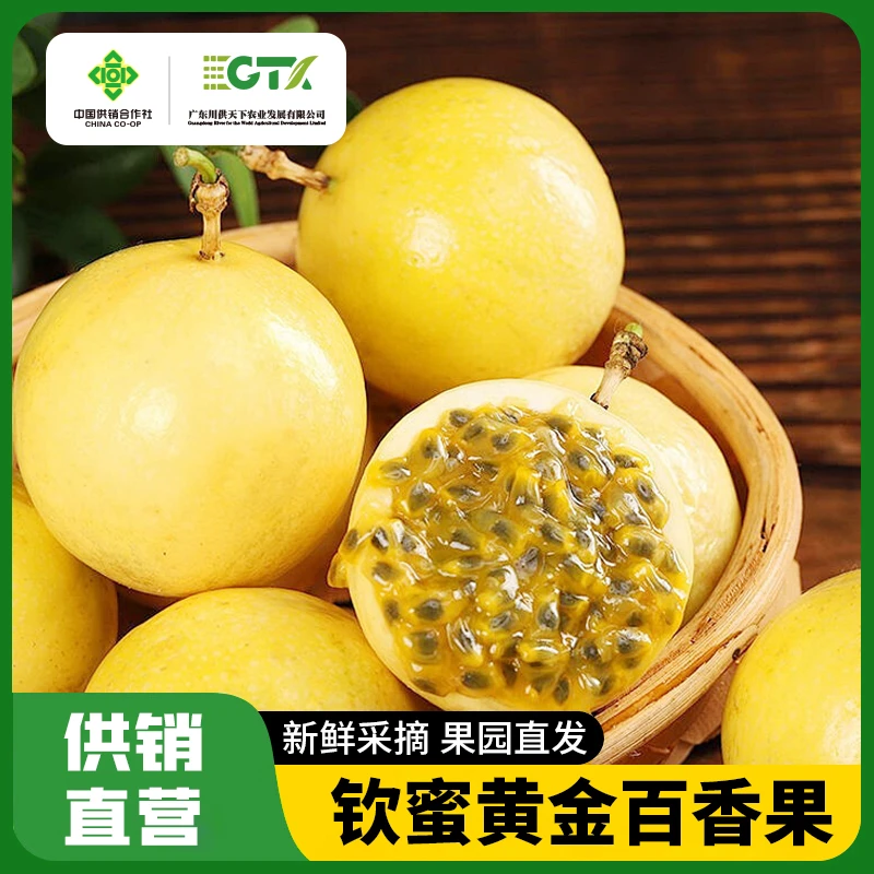 【中国供销社】钦蜜9号黄金百香果新鲜采摘发货饱满香甜自制饮料