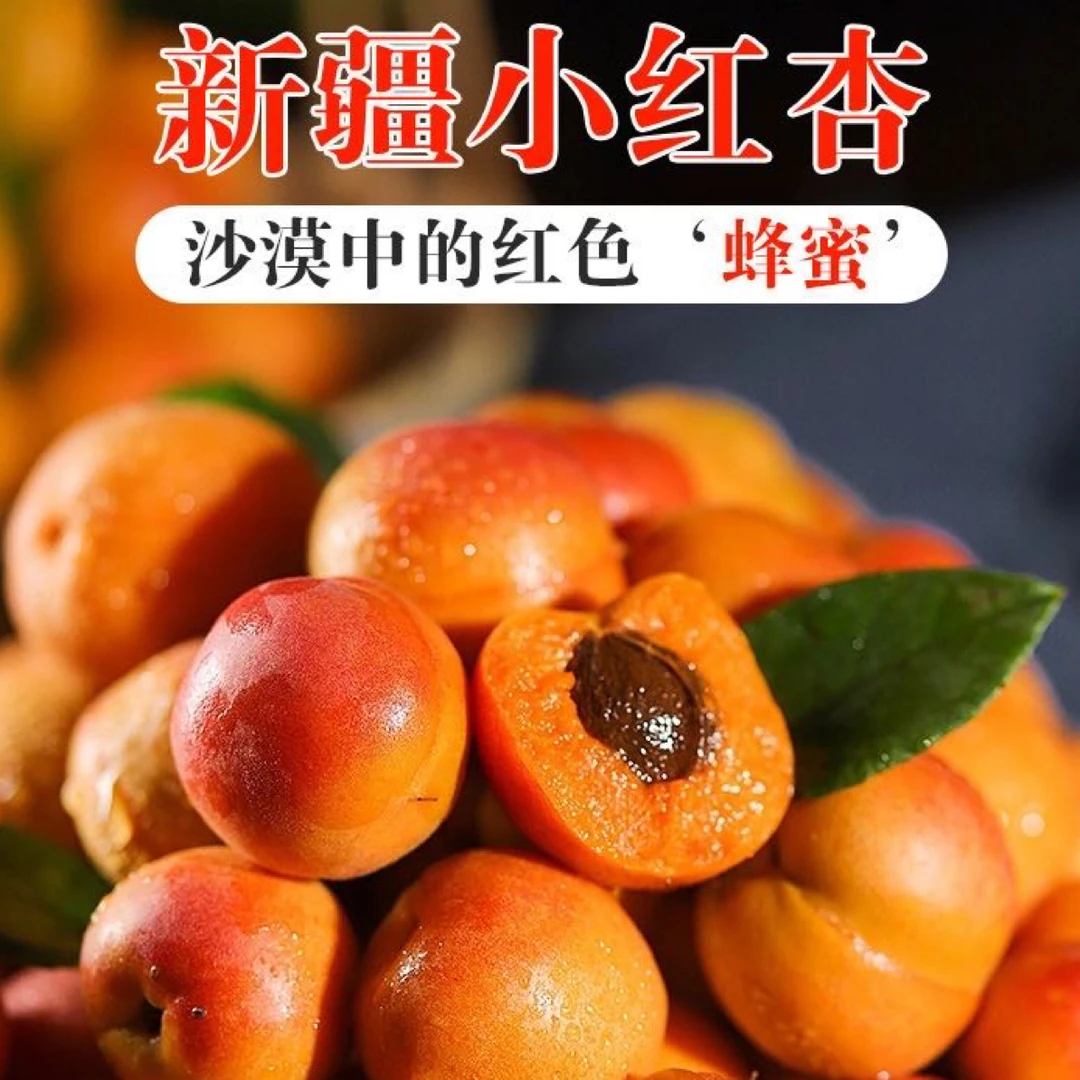 新疆阿克苏小红杏新鲜水果吊干杏胜小白杏空运直发