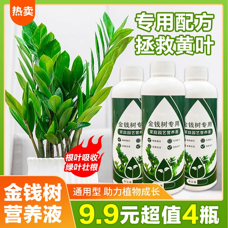 【抢！9.9元4瓶】金钱树专用营养液土培花草营养液专业配方生长吸收