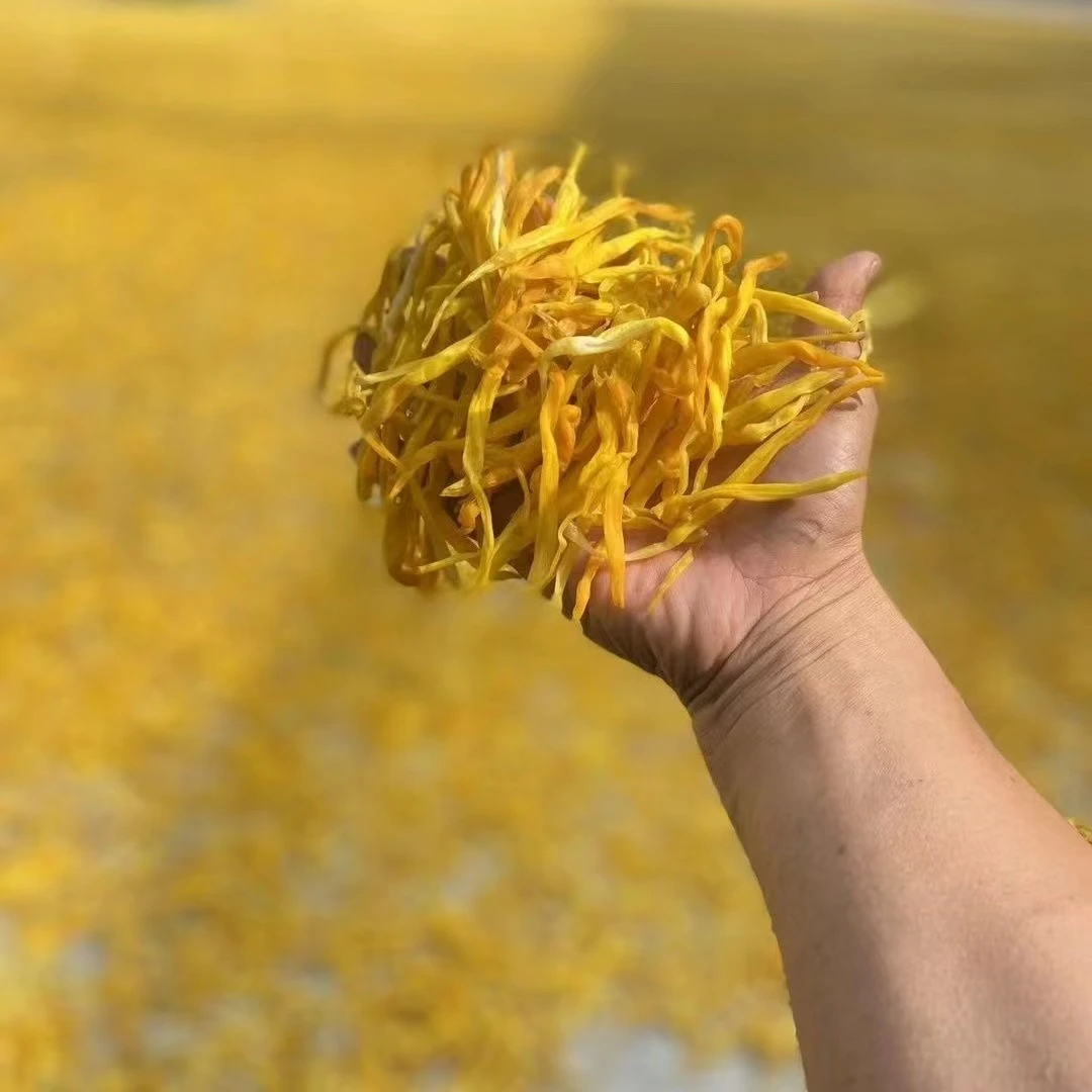 【小张助农山货】现收土特产~黄花菜150克