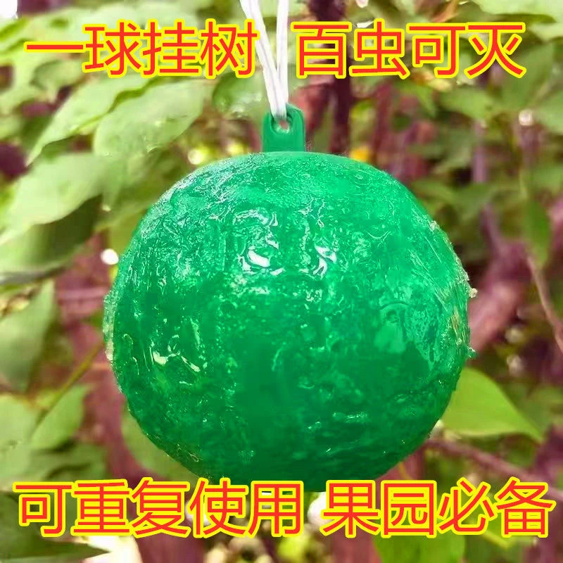 大果实蝇球诱蝇球诱捕器粘虫球柑橘针蜂蚊虫球橘子树泡泡球饵料