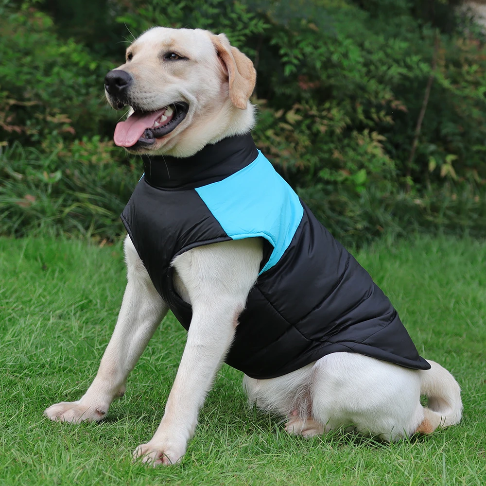 拉布拉多狗狗衣服秋冬季中大型犬金毛边牧可牵引冬天加厚保暖棉衣