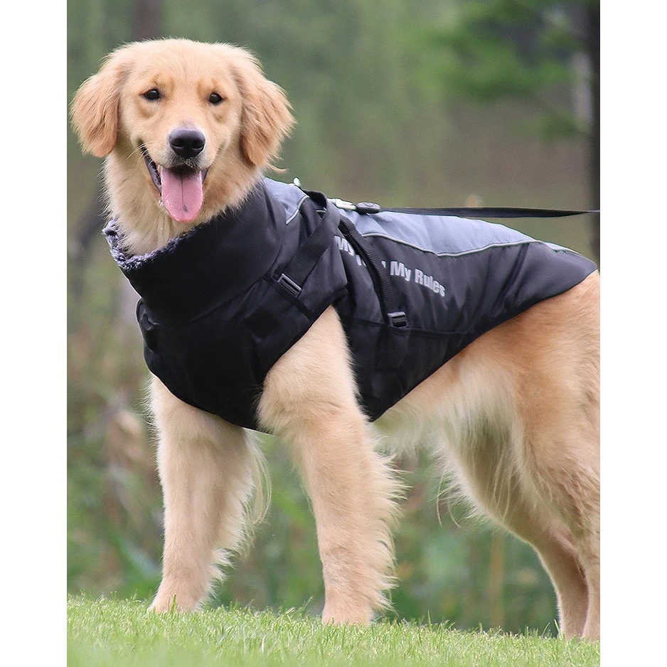 狗狗衣服秋冬款中型大型犬柯基金毛边牧专用冬季保暖加厚毛领棉衣