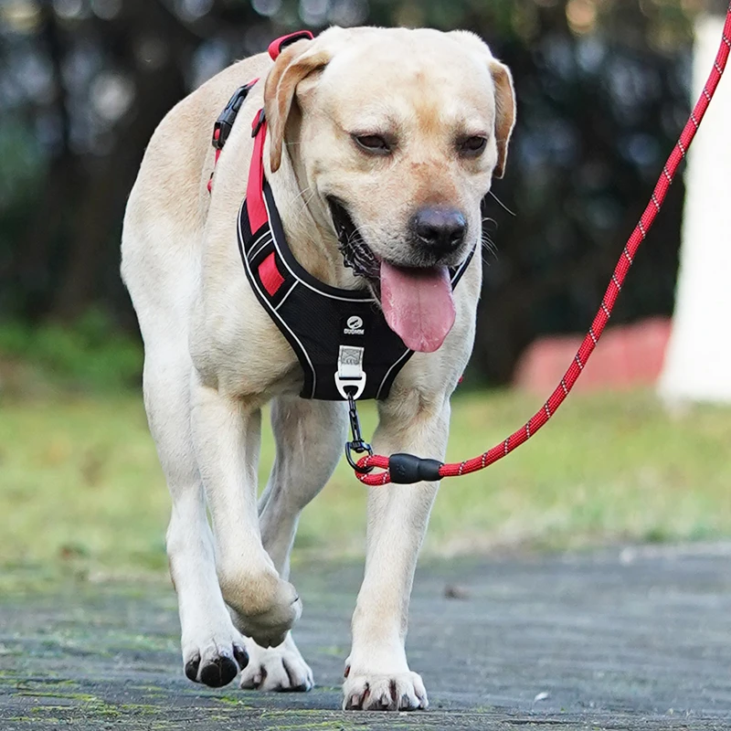 狗狗牵引绳背心式中大型犬拉布拉多防爆冲遛狗牵引绳狗绳子胸背带