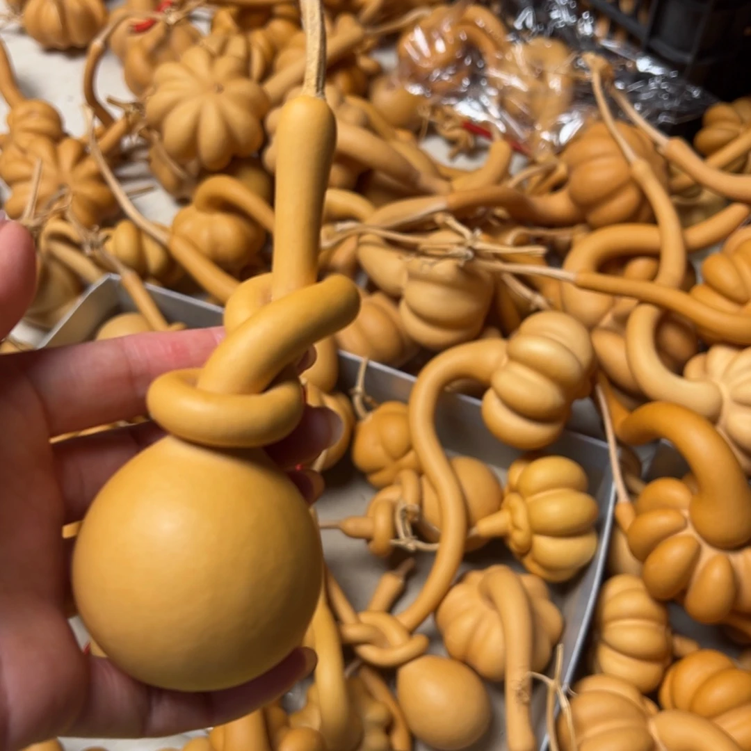 b***l一物一拍一物一拍