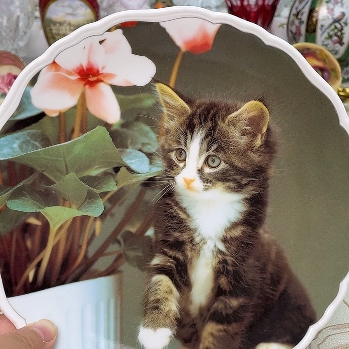 盘维多利亚欧洲中古